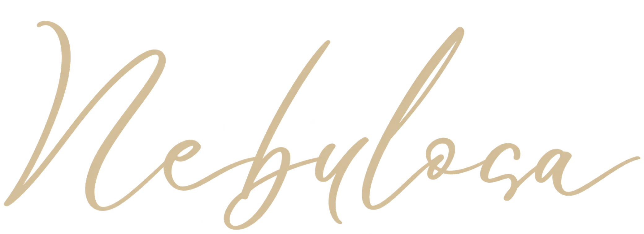 Nebulosa Logo